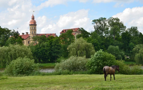 Radzevil palácio em Nesvij, na Bielorrússia . — Fotografia de Stock