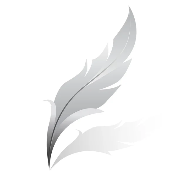 Vector illustration of silver feather — Stock Vector