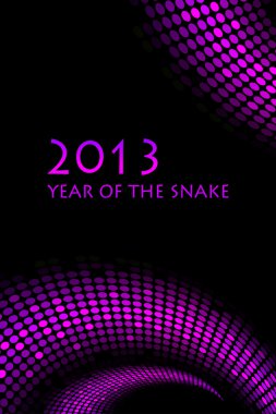 2013 new year - vector 
