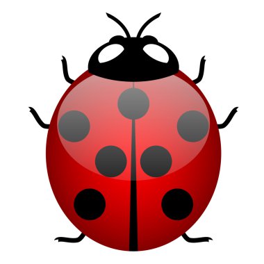 Illustration of ladybird (symbol of good luck) - vector clipart