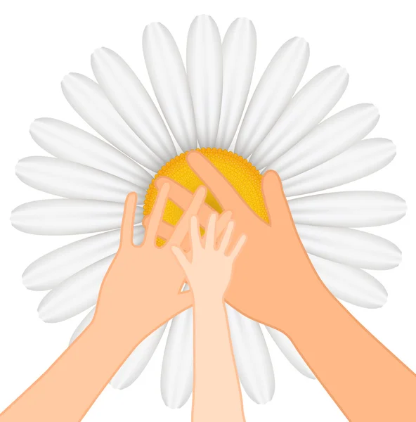Family -Vector illustration of hands on chamomile background — Stock Vector