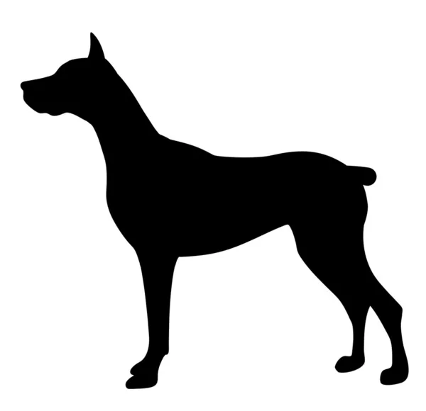Köpeğin vektör çizimi — Stok Vektör
