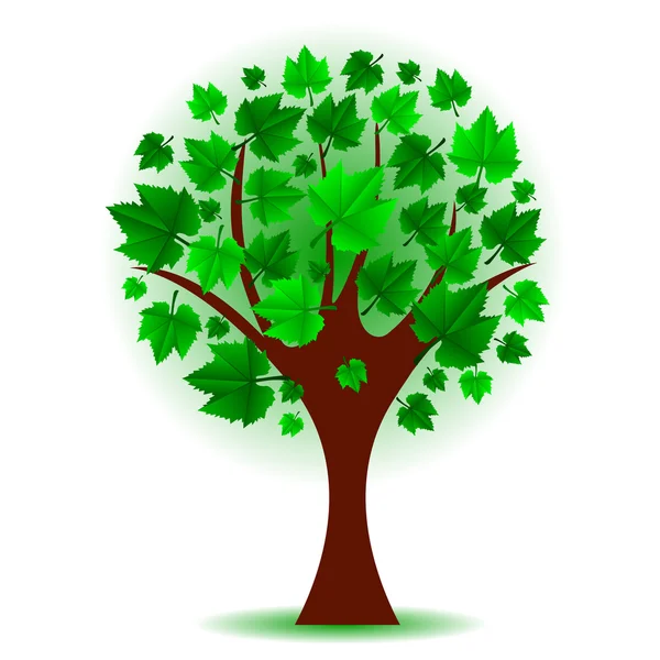 Vektor illustration av grönt träd — Stock vektor