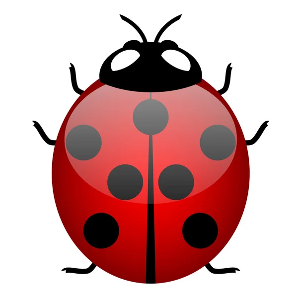 Illustration of ladybird (symbol of good luck) - vector — Stock Vector