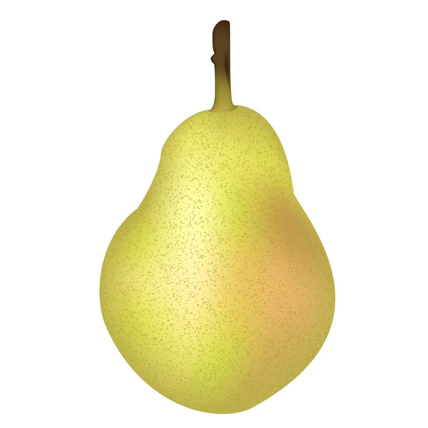 Vector illustration of pear — Stock Vector