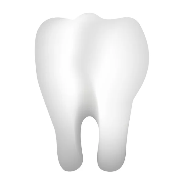 치아의 3d 그림을 벡터 — 스톡 벡터