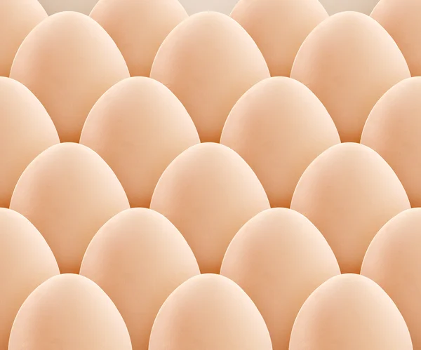 Uppsättning ägg — Stockfoto