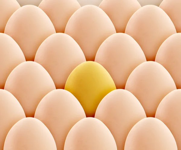 Zlaté vejce — Stock fotografie