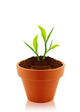 House plant clipart