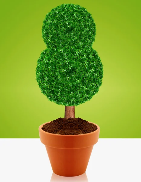 Küçük yeşil ağaç — Stok fotoğraf