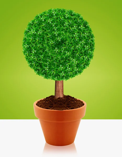 Små gröna träd — Stockfoto