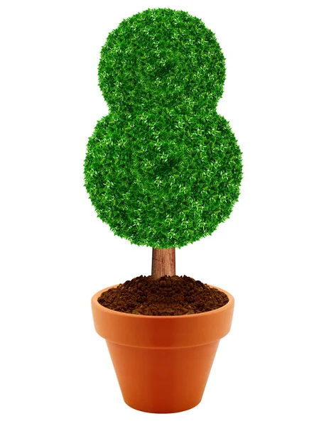 Small green tree — Stock Photo, Image