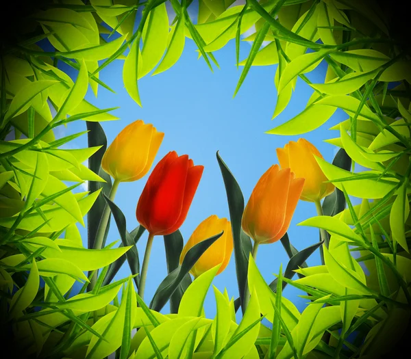 Tulips view from inside the hole — Stock Photo, Image