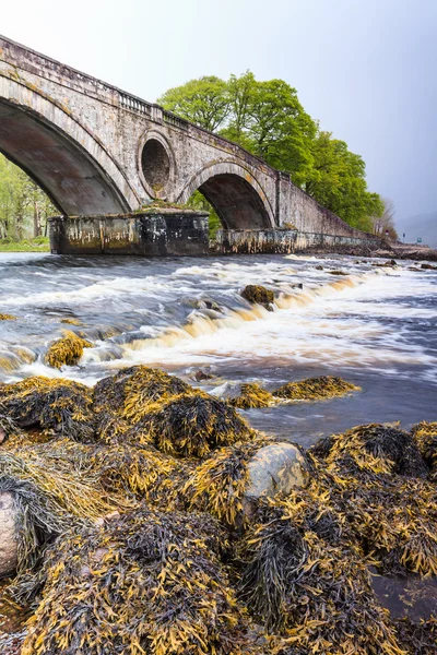 Most přes rychle plovoucí řeka — Stock fotografie