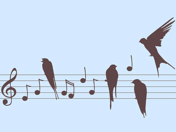 Notes de musique et oiseaux — Photo