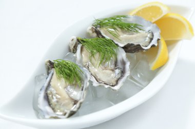 Fresh river oysters clipart