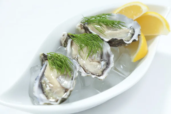 Fresh river oysters — Stock Photo, Image
