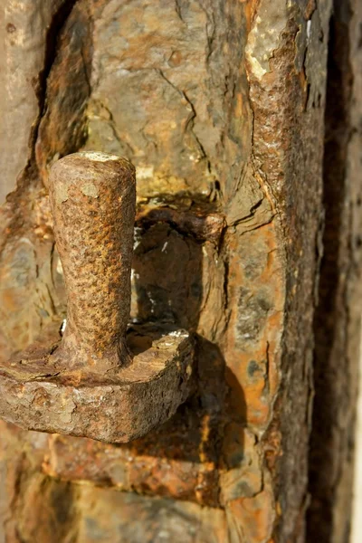 Porta enferrujada ou porta dobradiça Pin — Fotografia de Stock