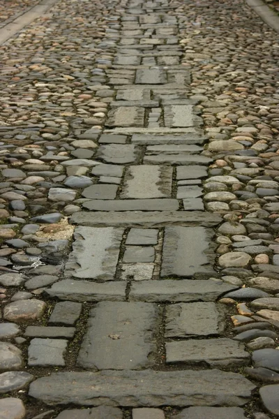 石畳の道を設計します。 — ストック写真