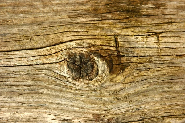 Knot and grain in wood — Stock Photo, Image