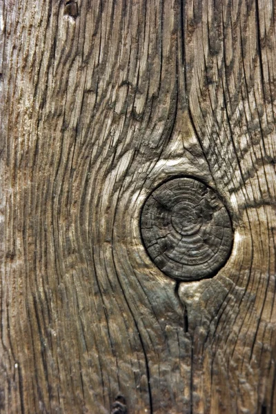 Knot in treated wood — Stock Photo, Image