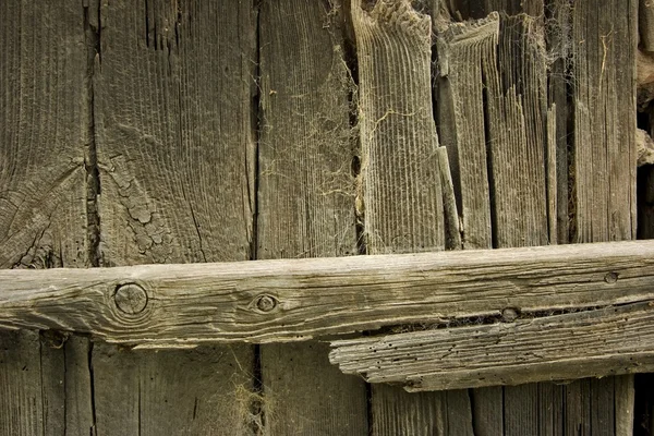 木材と web — ストック写真