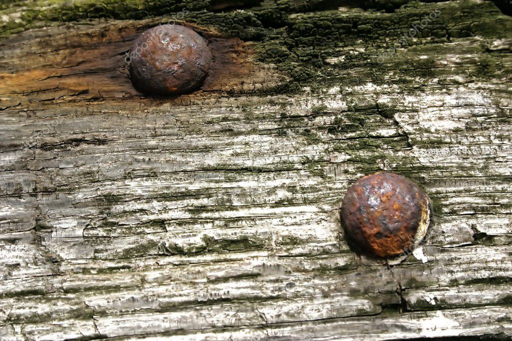 Rusting bolt heads in wood — Stock Photo © yerman 11073200