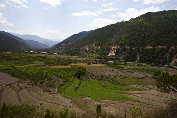 Green valley around Punakha - Bhutan — Stock Photo, Image