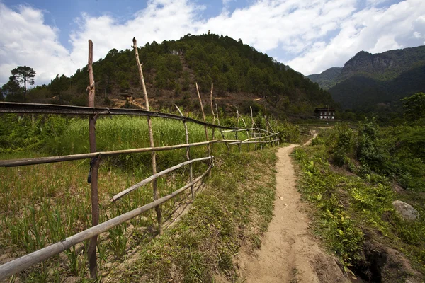Valle verde intorno a Punakha - Bhutan — Foto Stock