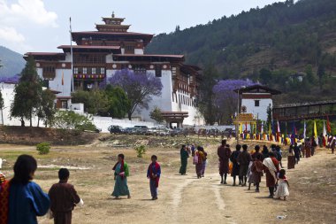 Punakha Dzong bahar ile mor jakaranda ağaçlar (Birleşik Arap Emirlikleri)