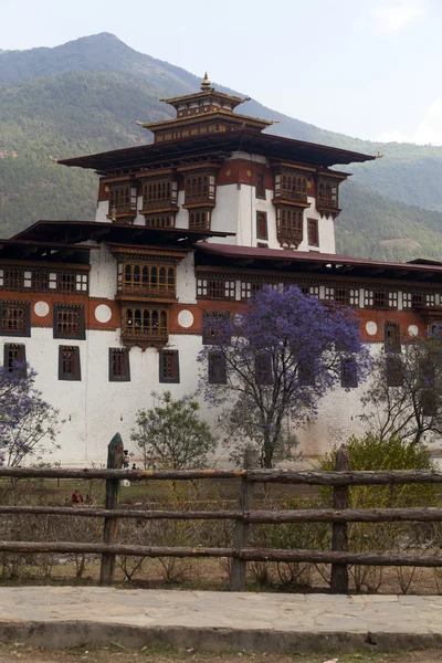 Punakha Dzong in Spring with purple Jacaranda trees (Bhutan) — Stock Photo, Image
