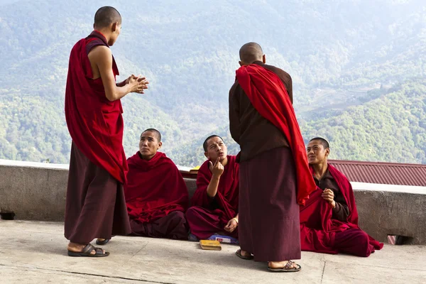 MONKS DISCUSSING IN NALANDA BHUDIST COLLEGE - PUNAKHA - BHUTAN — стоковое фото