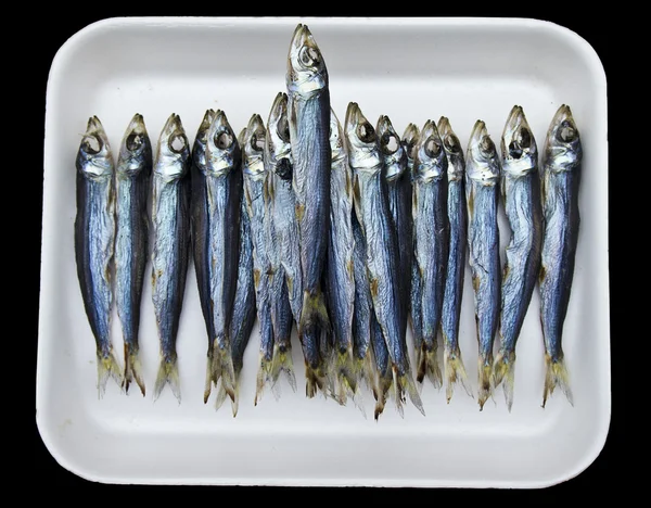 Bandeja de anchovas no mercado — Fotografia de Stock