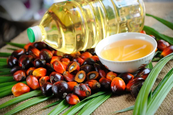 Пальмова олія фрукти — стокове фото