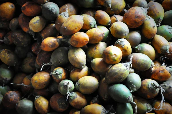 Betel Nut ou Areca Nut fundo — Fotografia de Stock