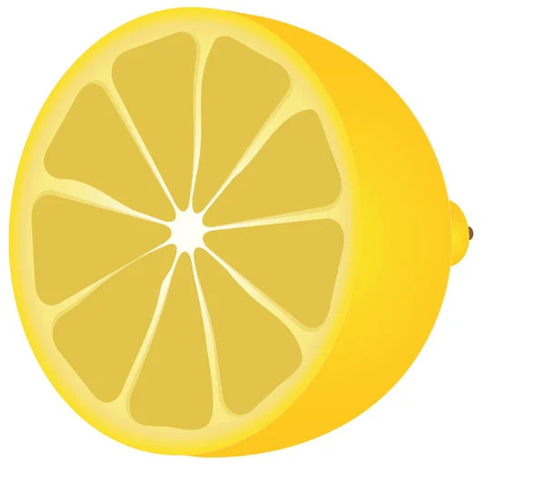 Limon yarısı — Stok Vektör