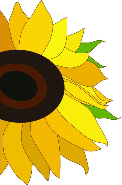 Kwiat słońca — Wektor stockowy