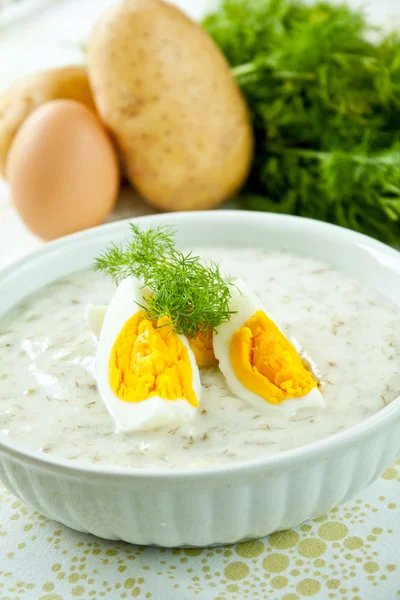 Dill soup with egg Stock Picture