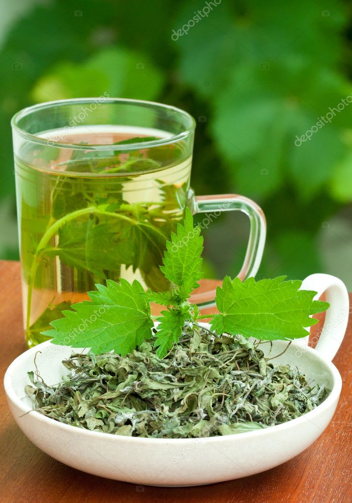 http://static9.depositphotos.com/1251847/1165/i/950/depositphotos_11655064-Nettle-tea.jpg