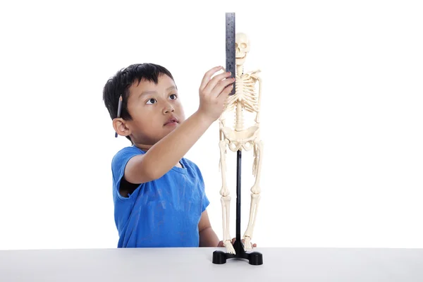 El chico mide un cráneo humano — Foto de Stock