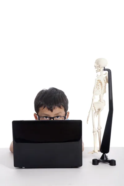 Ragazzo con laptop e teschio umano — Foto Stock