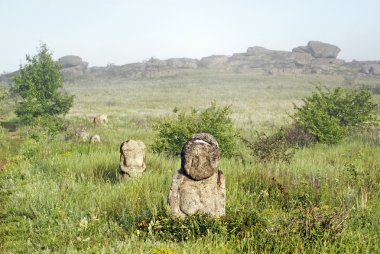 Stone idol in the steppe clipart