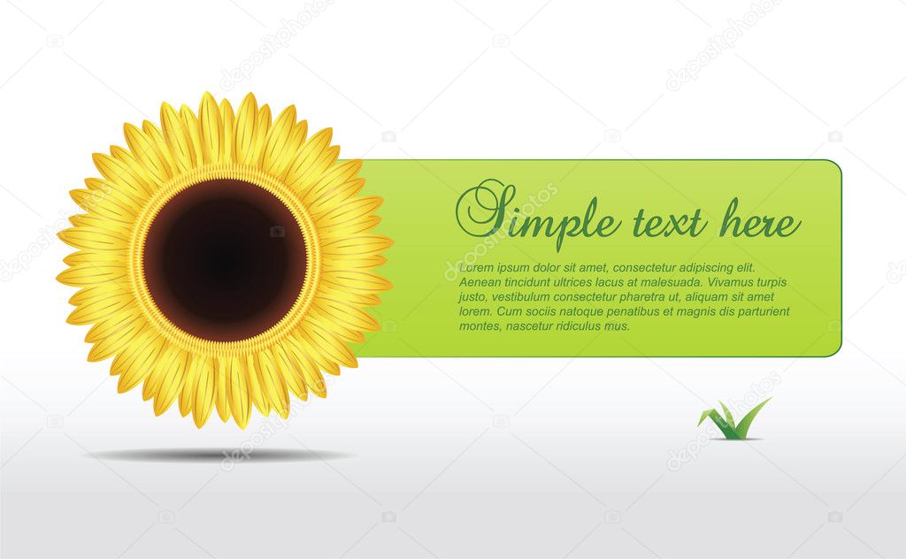 Vector sunflower with text field and grace
