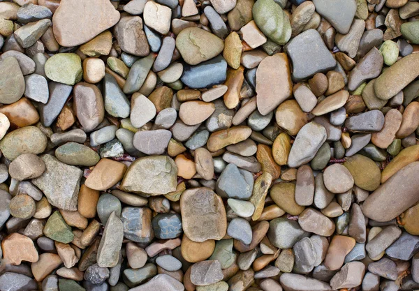 stock image Colourful pebbles on the beach