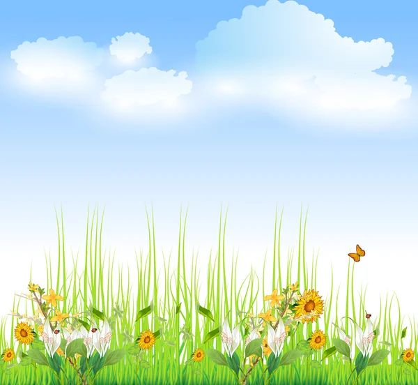 Зеленая трава с цветами и голубое небо — стоковый вектор