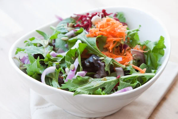 Garden vegetable salad — Stock Photo, Image