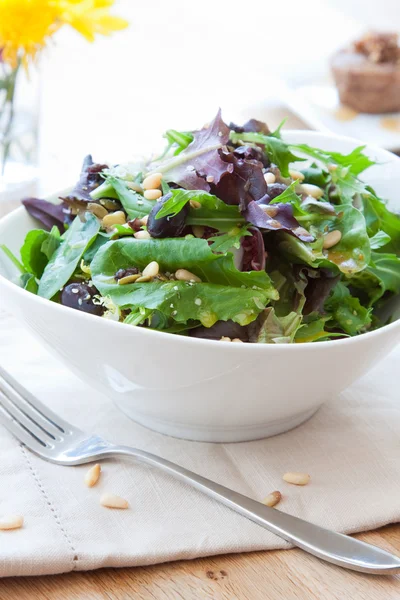 Garden greens salad — Stock Photo, Image