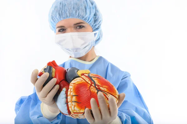 Female doctor or nurse holding a heart — Stock Photo, Image