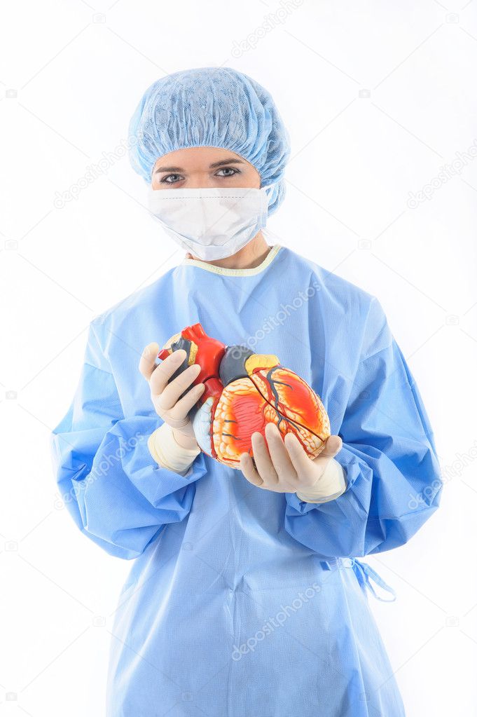 Female doctor or nurse holding a heart