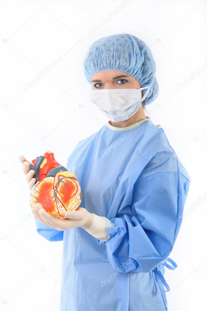 Female doctor or nurse holding a heart